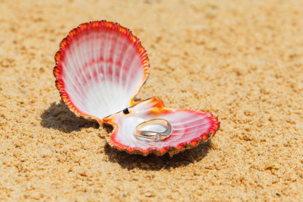 Concha con anillo en la playa